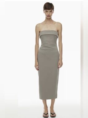 Aritzia Babaton - eye catcher dress